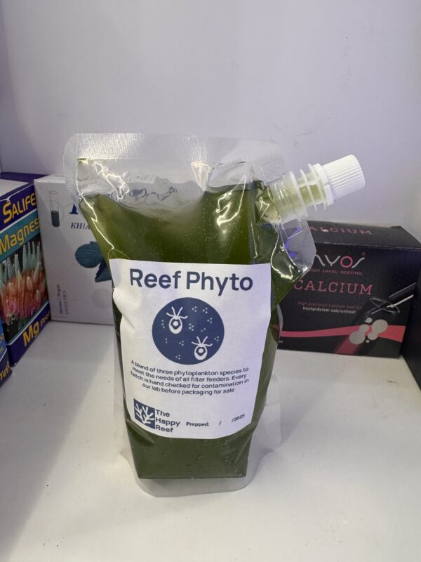Reef Alchemy: Mixed Phytoplankton