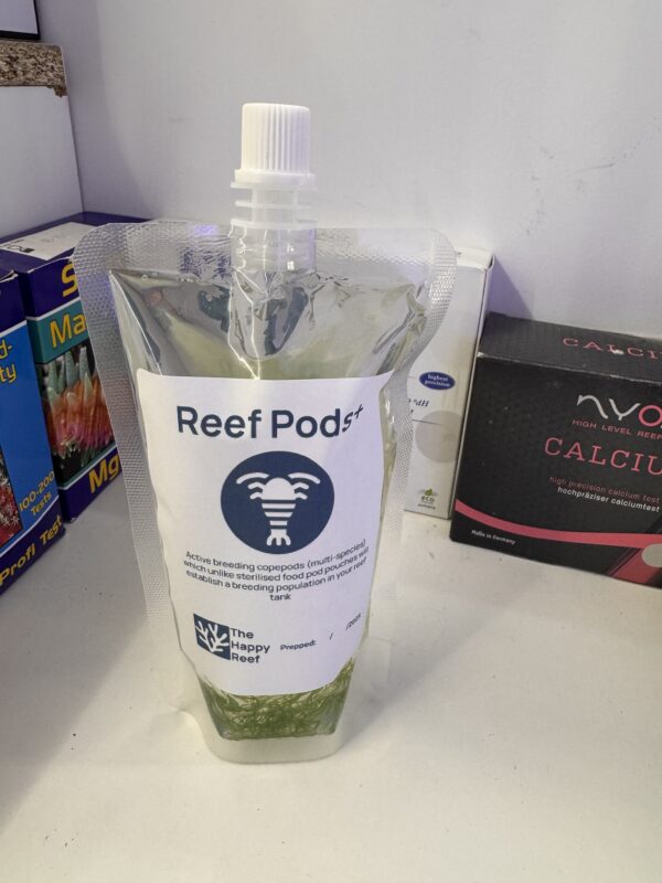 Reef Alchemy: Copepods